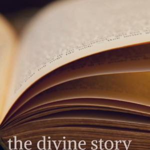 The Power of Story