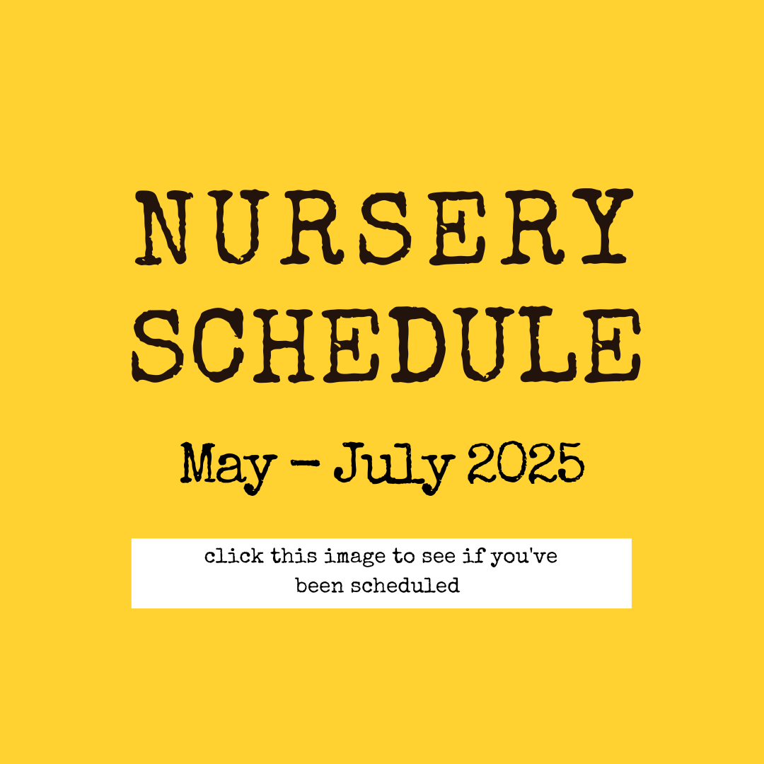 Nursery & Members