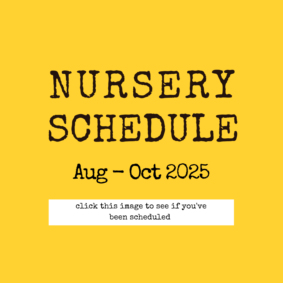 Nursery & Members