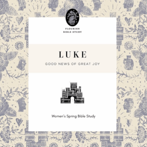 Luke: Joy to the World | Anna Dabbs