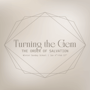 Turning the Gem: Election | Les Newsom