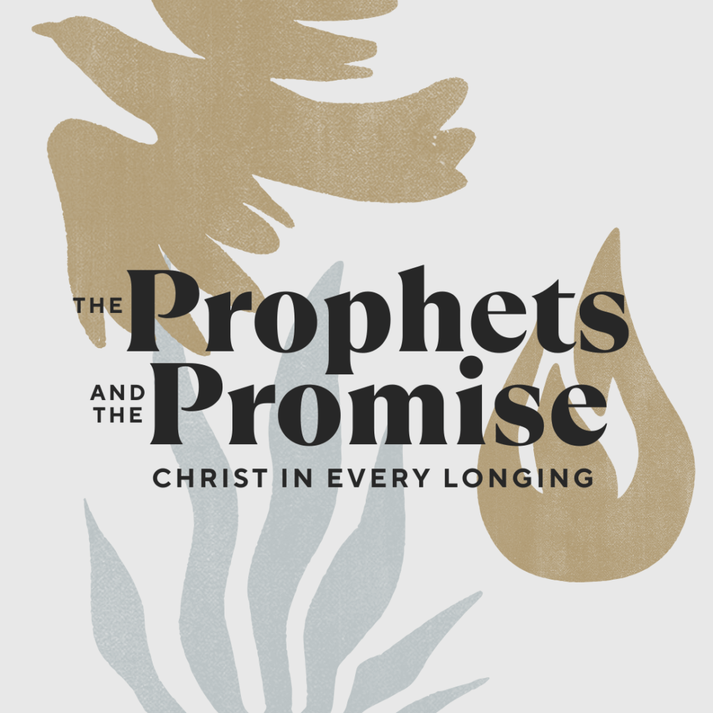 Christ the Glory | Les Newsom