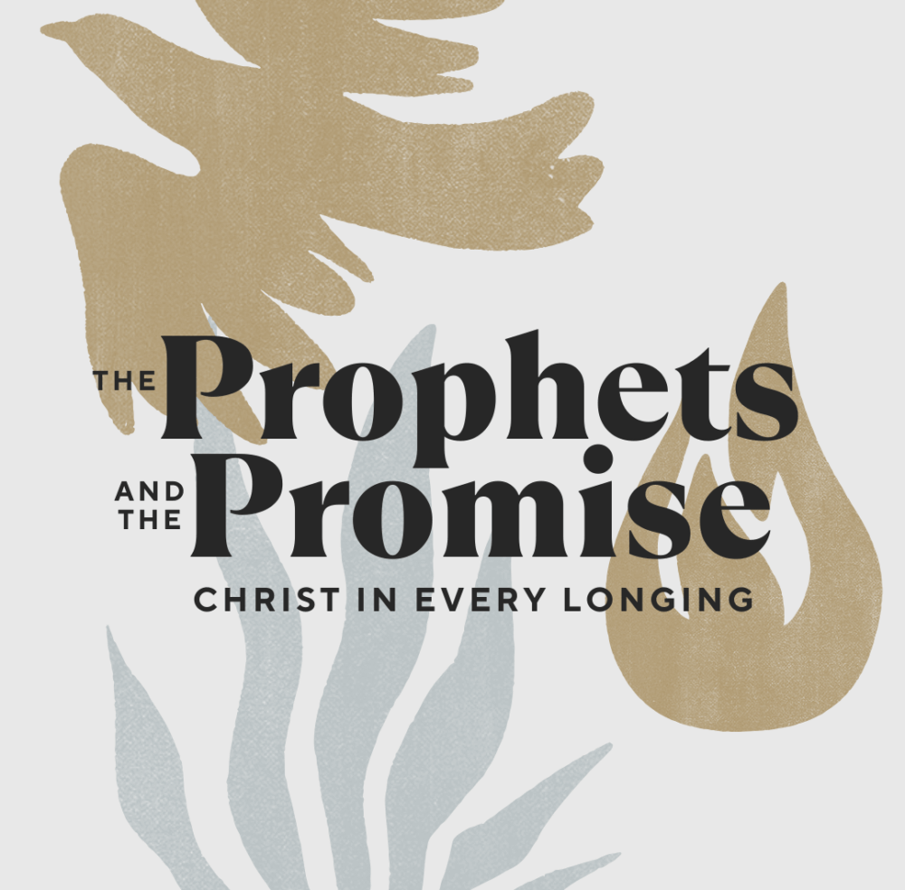 Christ the Bridegroom | Brian Sorgenfrei